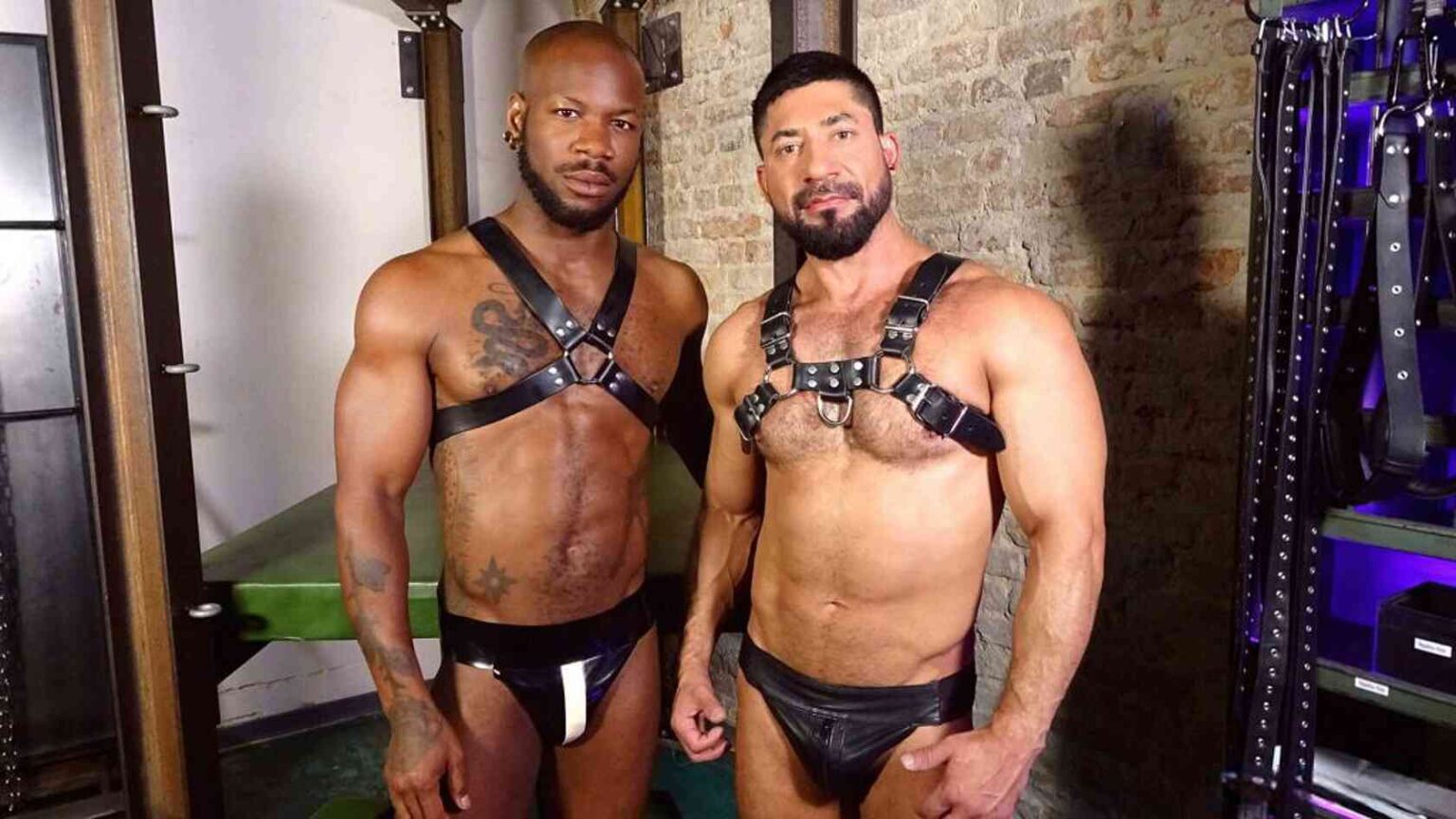 sultan rhodos and bishop black wearing leather harness